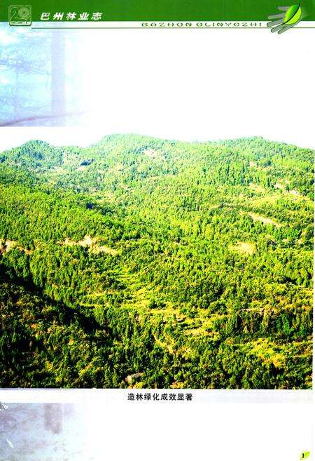 《巴中市巴州区林业志(1986-2005)》.pdf电子版_四川省志预览图2