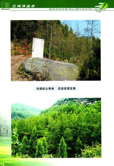 《巴中市巴州区林业志(1986-2005)》.pdf电子版_四川省志预览图3