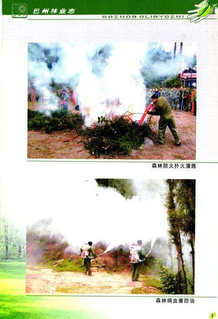 《巴中市巴州区林业志(1986-2005)》.pdf电子版_四川省志预览图4