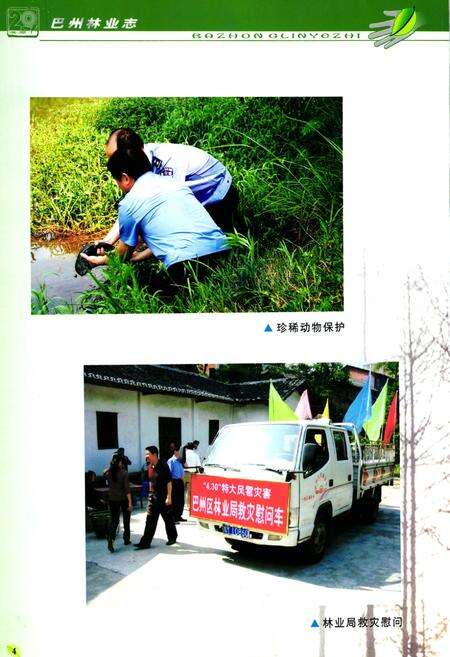 《巴中市巴州区林业志(1986-2005)》.pdf电子版_四川省志预览图5