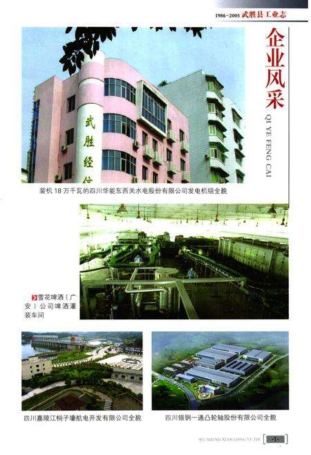 《武胜县工业志(1986-2005)》.pdf电子版_四川省志预览图2