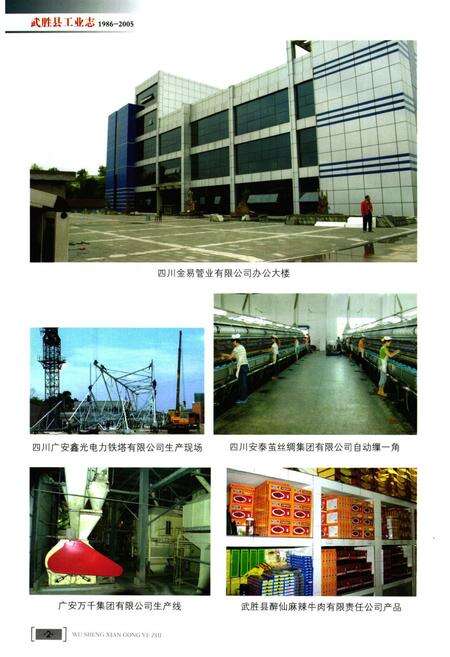 《武胜县工业志(1986-2005)》.pdf电子版_四川省志预览图3