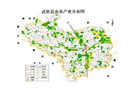 《武胜县蚕桑志(1986-2005)》.pdf电子版_四川省志预览图5