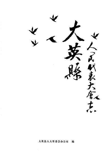 《大英县人民代表大会志》.pdf电子版_四川省志预览图1