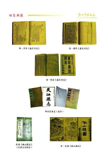《乐山市方志志》.pdf电子版_四川省志预览图5