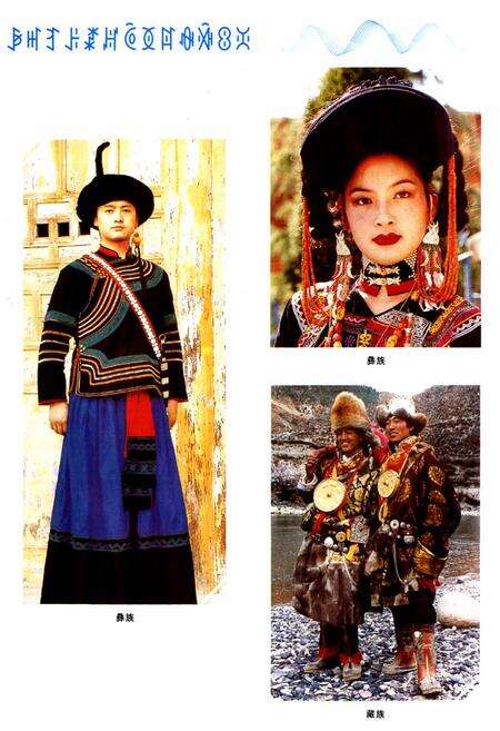 《凉山彝族自治州民族志》.pdf电子版_四川省志预览图5