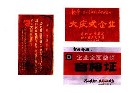 《会理锌矿志(1702-1985)》.pdf电子版_四川省志预览图3