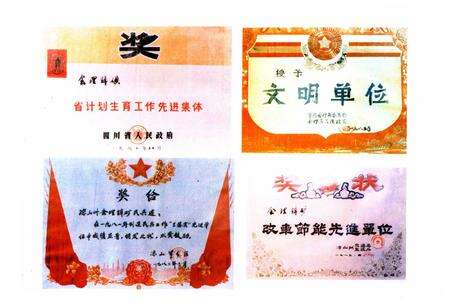 《会理锌矿志(1702-1985)》.pdf电子版_四川省志预览图4