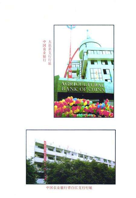 《成都农村金融志》.pdf电子版_四川省志预览图5