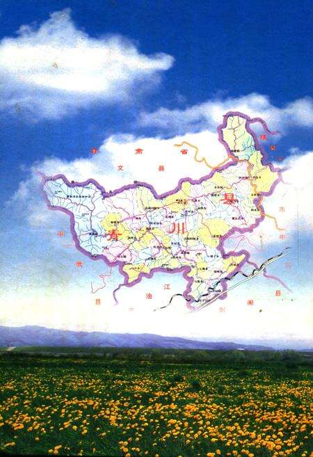 《青川县志县关心下一代工作委员会志(1992-2005)》.pdf电子版_四川省志预览图3