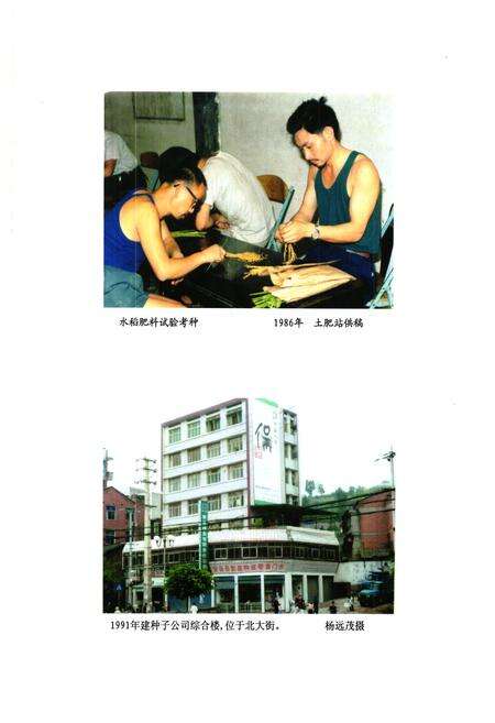 《安岳县农业局志(1986-2005)》.pdf电子版_四川省志预览图2