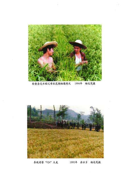 《安岳县农业局志(1986-2005)》.pdf电子版_四川省志预览图3