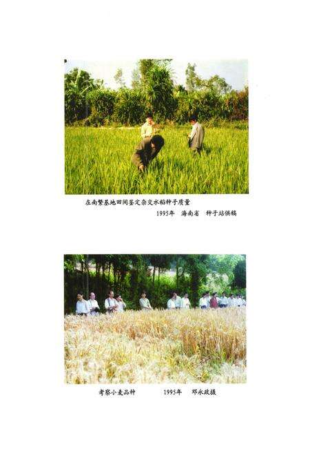 《安岳县农业局志(1986-2005)》.pdf电子版_四川省志预览图4