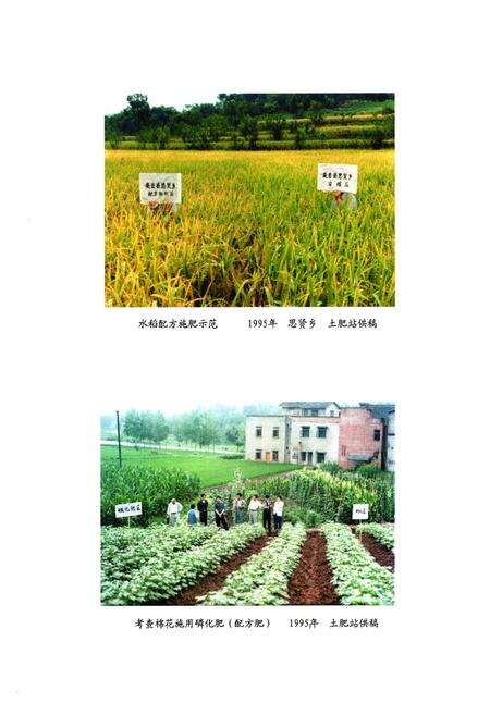 《安岳县农业局志(1986-2005)》.pdf电子版_四川省志预览图5