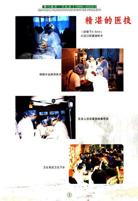 《《青川县志卫生志(1986~2002)》》.pdf电子版_四川省志预览图5