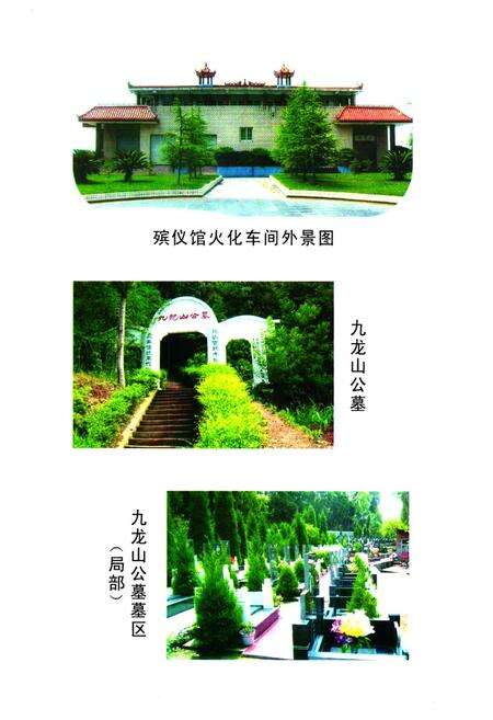 《乐至县民政志(1986-2005)》.pdf电子版_四川省志预览图5