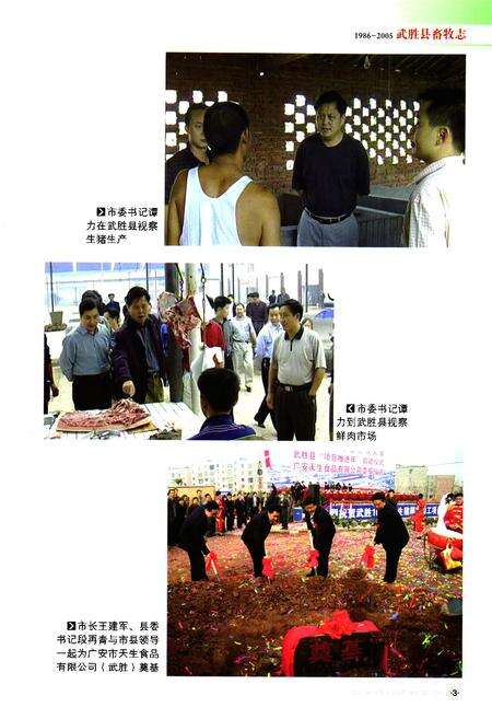 《武胜县畜牧志(1986-2005)》.pdf电子版_四川省志预览图4