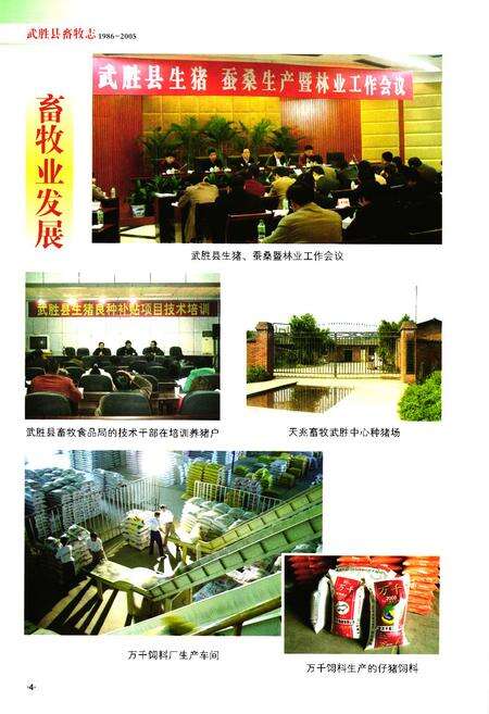 《武胜县畜牧志(1986-2005)》.pdf电子版_四川省志预览图5