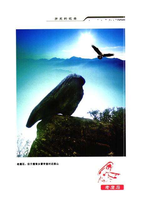 《鹰背乡志(1913-2009)》.pdf电子版_四川省志预览图3