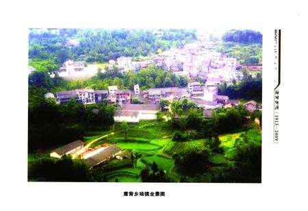 《鹰背乡志(1913-2009)》.pdf电子版_四川省志预览图4