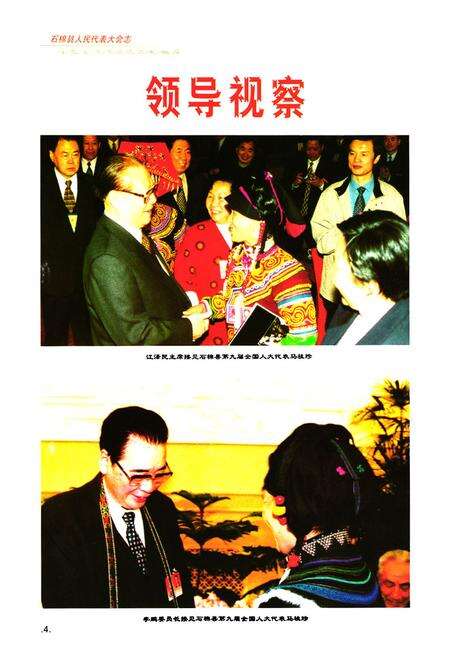 《石棉县人民代表大会志(1986-2002)》.pdf电子版_四川省志预览图5