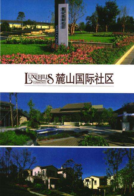 《双流县城乡规划志(2005年本)》.pdf电子版_四川省志预览图5