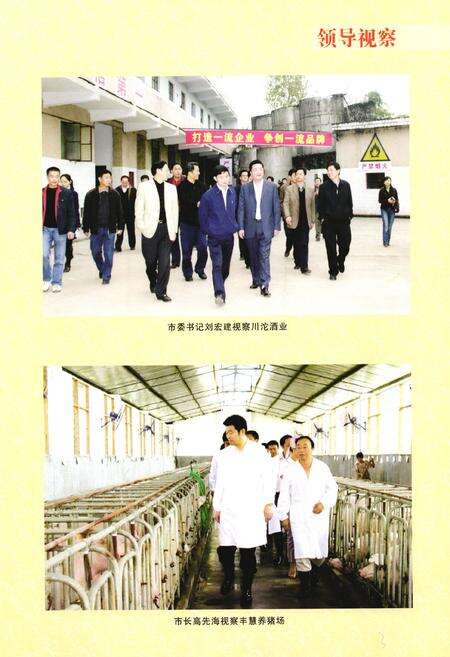 《西充县商务志(1986-2005)》.pdf电子版_四川省志预览图5