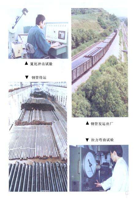 《四川石油管理局资阳钢管厂志》.pdf电子版_四川省志预览图5