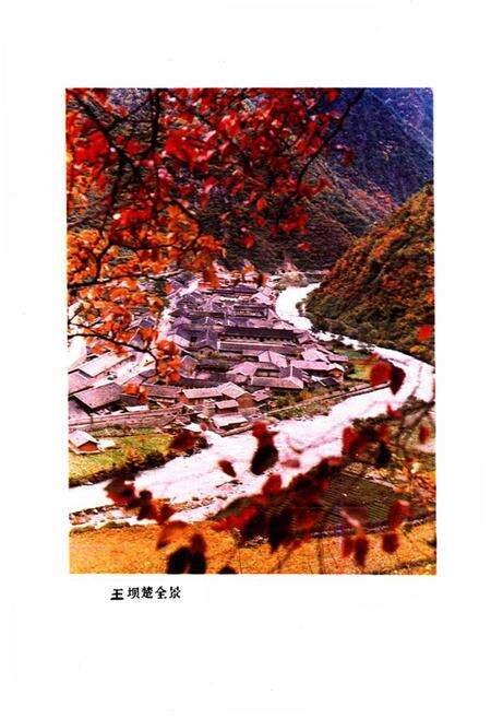 《绵阳市平武伐木厂志》.pdf电子版_四川省志预览图5