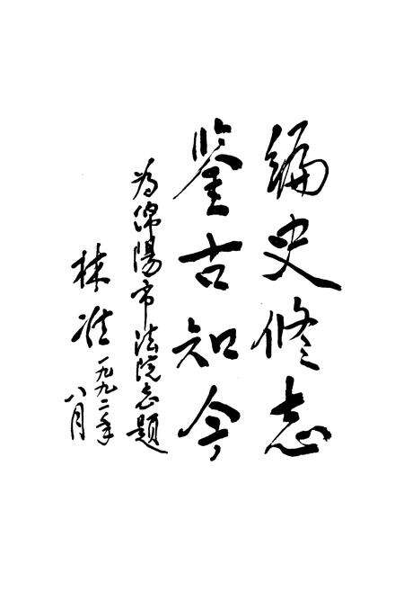 《绵阳市审判志》.pdf电子版_四川省志预览图3