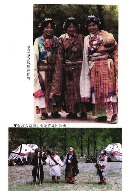 《马尔康县文化馆志》.pdf电子版_四川省志预览图4