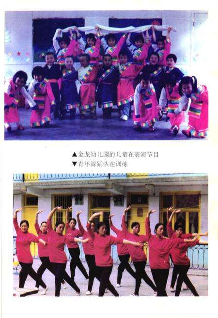 《马尔康县文化馆志》.pdf电子版_四川省志预览图5