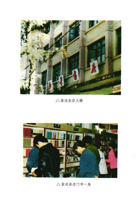 《攀枝花市图书发行志》.pdf电子版_四川省志预览图3