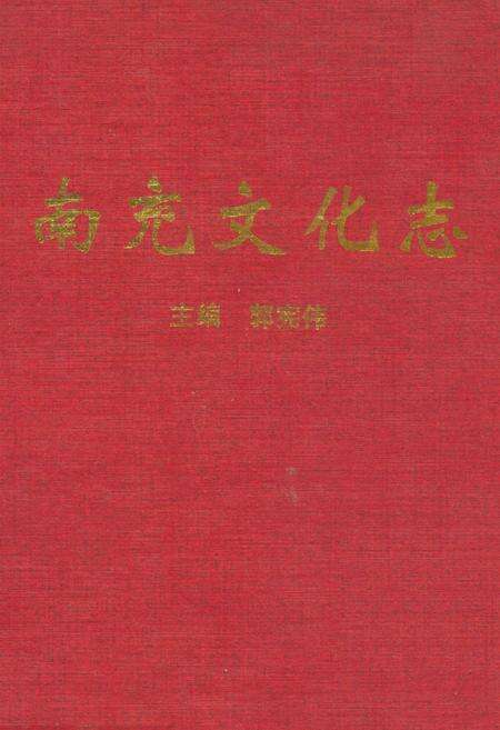 《南充文化志》.pdf电子版_四川省志缩略图