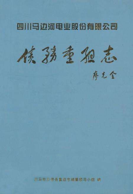 《川马电业债务重组志》.pdf电子版_四川省志缩略图