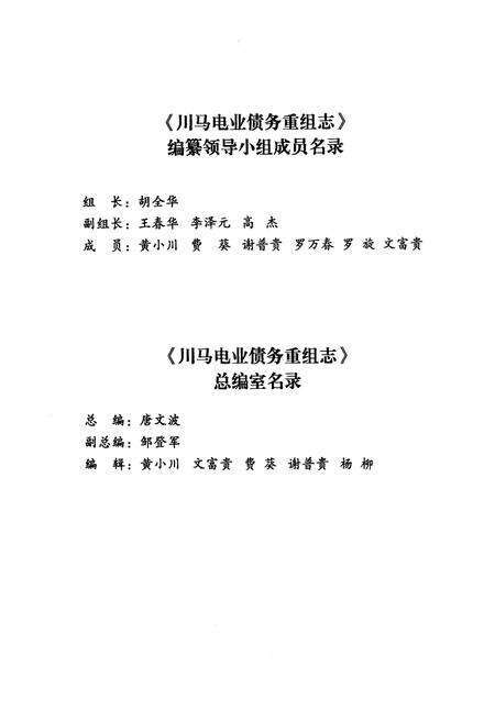 《川马电业债务重组志》.pdf电子版_四川省志预览图3
