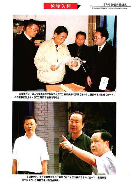 《川马电业债务重组志》.pdf电子版_四川省志预览图4