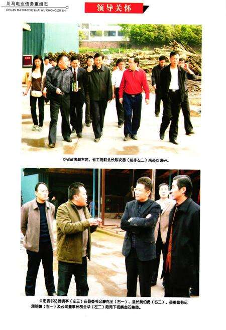 《川马电业债务重组志》.pdf电子版_四川省志预览图5