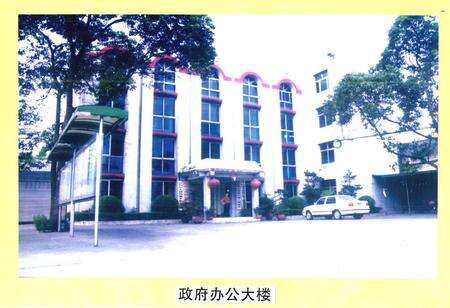 《两路口镇志》.pdf电子版_四川省志预览图3