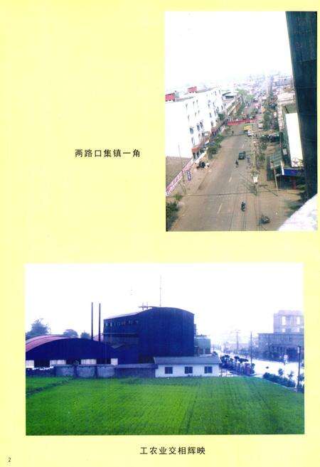 《两路口镇志》.pdf电子版_四川省志预览图4