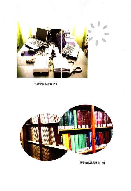 《阆中市统计志》.pdf电子版_四川省志预览图4