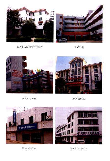 《双流县新兴镇志(2005年本)》.pdf电子版_四川省志预览图4