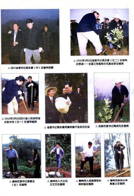 《道明镇志》.pdf电子版_四川省志预览图3