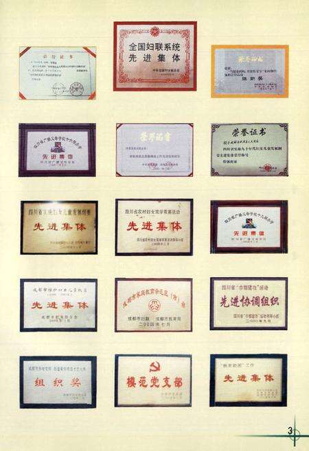 《双流县妇女工作志(2005年本)》.pdf电子版_四川省志预览图4