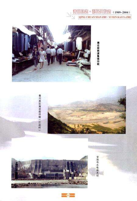《《青川县志移民开发志(1989-2004)》》.pdf电子版_四川省志预览图5