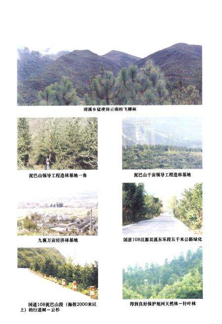 《《汉源县林业志(1986~2005)》》.pdf电子版_四川省志预览图4