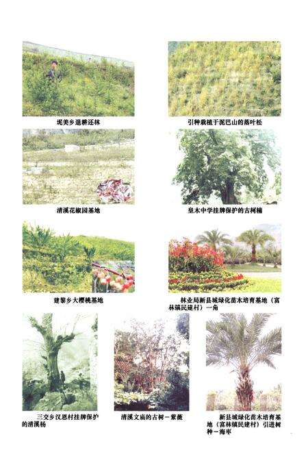 《《汉源县林业志(1986~2005)》》.pdf电子版_四川省志预览图5