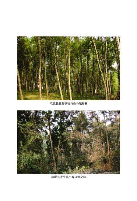 《双流县城乡园林绿化志(2005年本)》.pdf电子版_四川省志预览图4