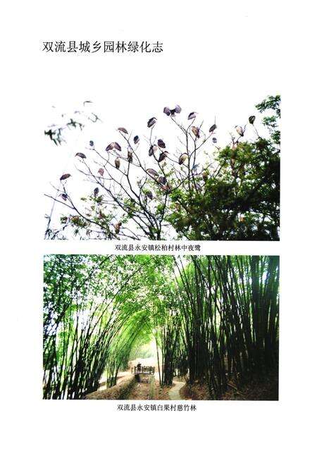 《双流县城乡园林绿化志(2005年本)》.pdf电子版_四川省志预览图5