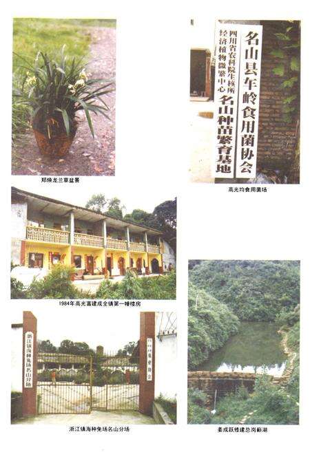 《车岭镇志》.pdf电子版_四川省志预览图5